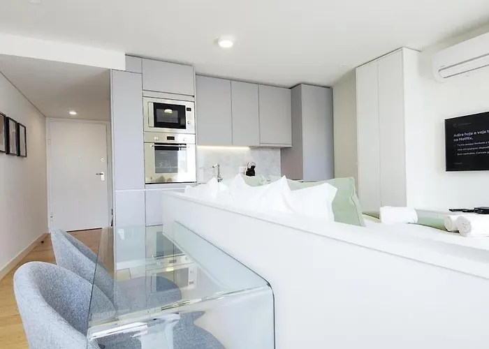 Amazing Stylish W Ac Balcony Elevator