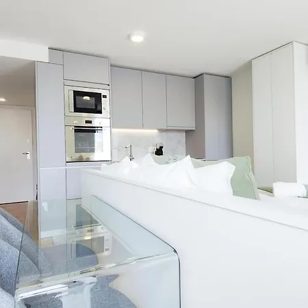 Amazing Stylish W Ac Balcony Elevator